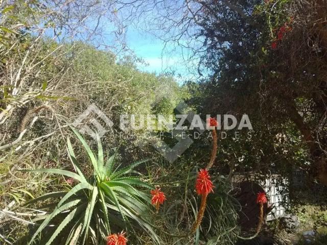 Terreno en arriendo en Paiguano, Coquimbo