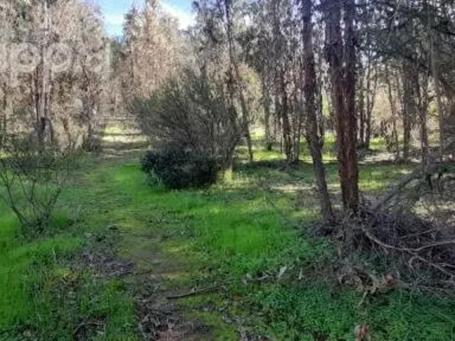 Terreno en venta en Villa Alemana, Valparaíso