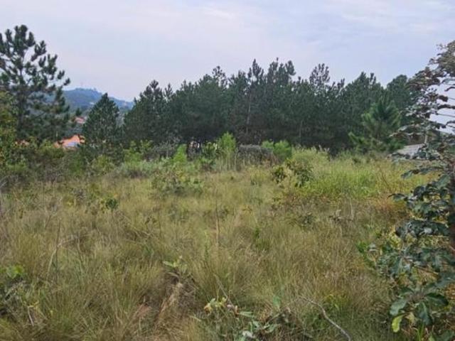 Terreno venda em Região Imediata de Sorocaba, Região Metropolitana de Sorocaba