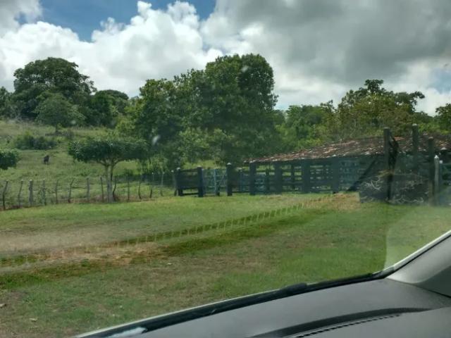 Terreno venda em Catu