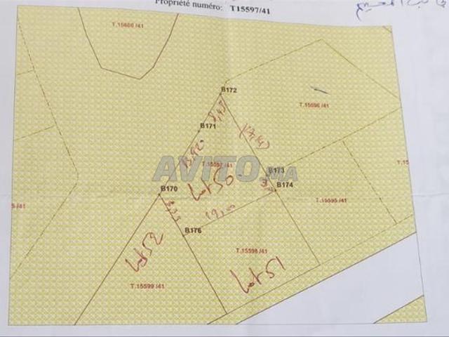 Propriété vente à Séfrou