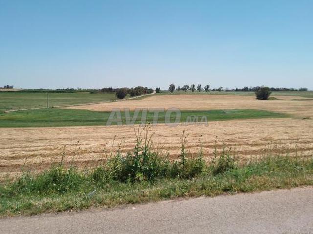 Propriété vente à Berrechid, Gharb-Chrarda-Beni Hssen
