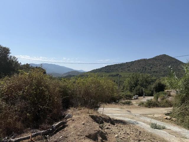 Terrain vente à Corte, Canavaggia