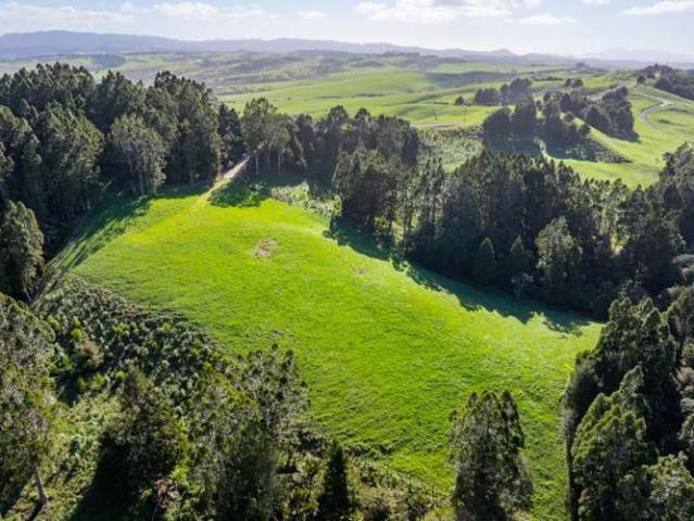 Property for sale in Mangawai, Northland
