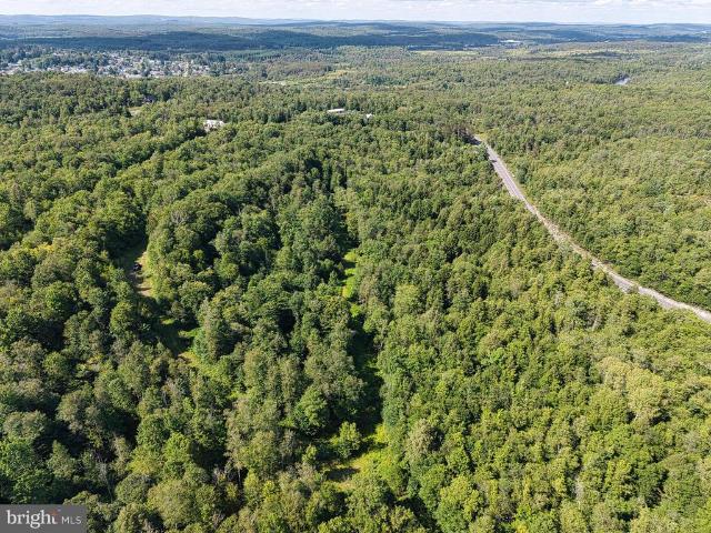 Land for sale in Davis, Tucker County