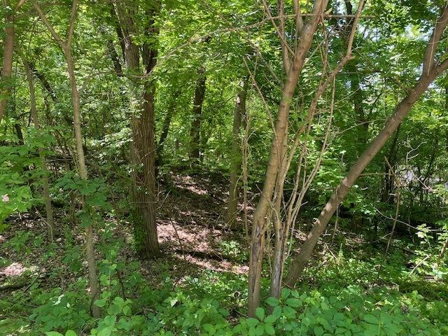 Land for sale in Mchenry, Illinois