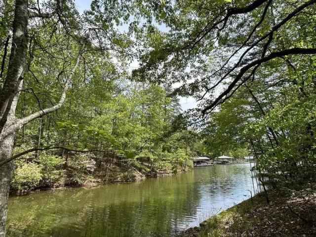 Land for sale in Wedowee, Alabama