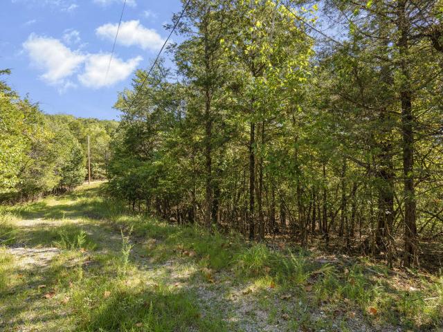 Land for sale in Branson, Missouri