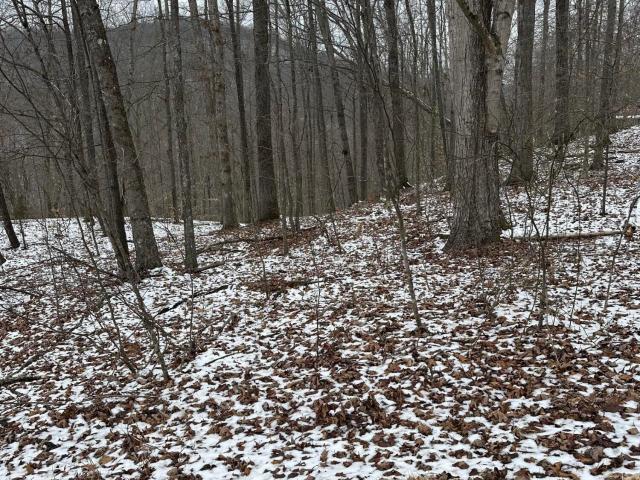 Land for sale in Middlesboro, Kentucky
