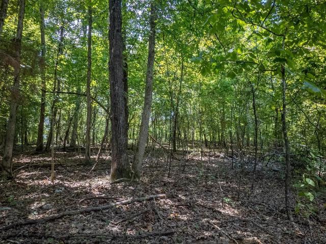 Land for sale in Ark