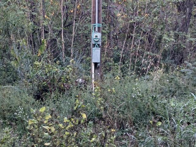 Land for sale in Theodosia, Missouri