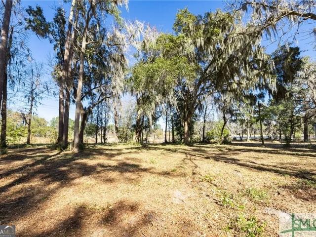 Land for sale in Midway, Georgia