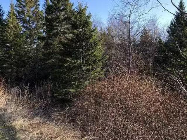 House for sale in Port Hastings, Nova Scotia