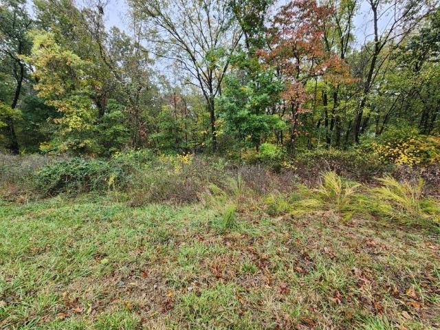 Land for sale in Ark