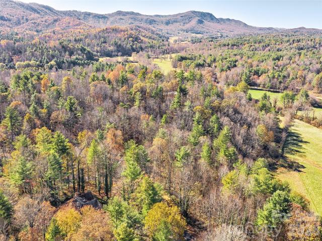 Land for sale in East Flat Rock, North Carolina