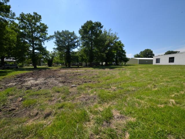 Land for sale in Bonnie, Illinois