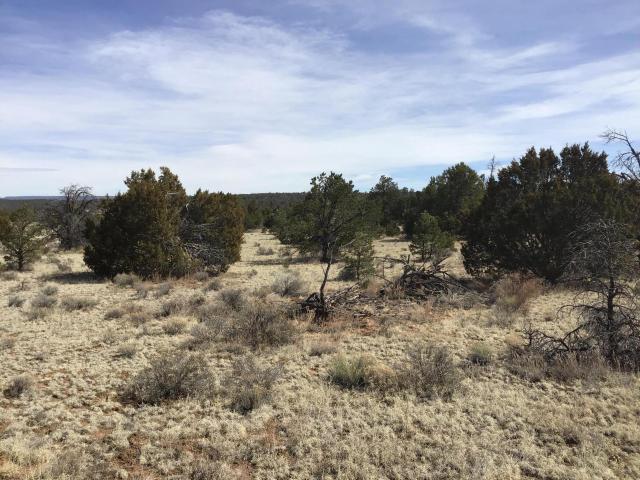 Land for sale in Ramah, New Mexico
