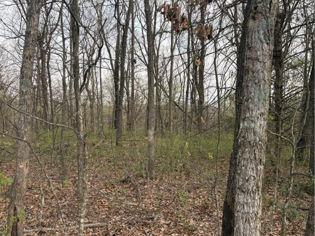 Land for sale in Ark