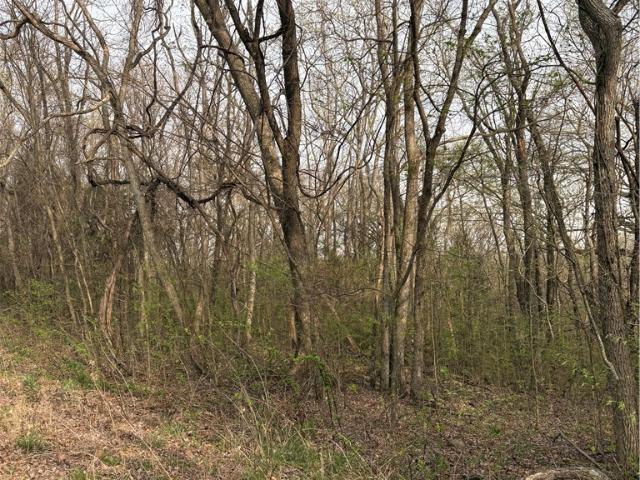 Land for sale in Ark