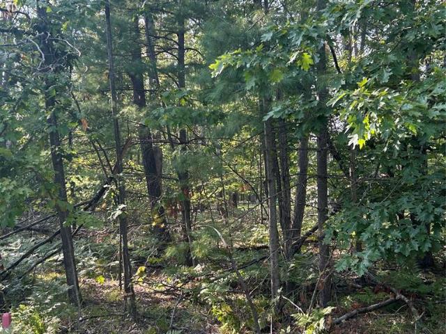 Land for sale in Tuscola, Michigan