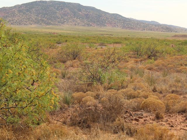 Land for sale in New Mexico
