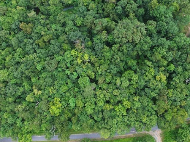 Land for sale in Winchester, Frederick County