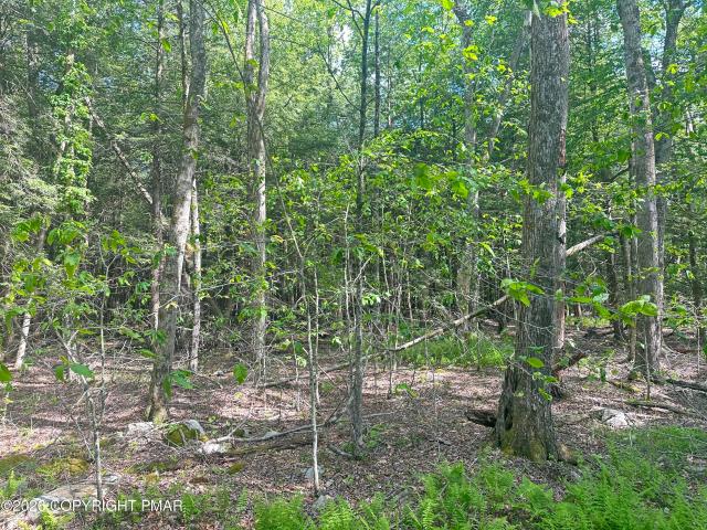 Land for sale in Cresco, Pennsylvania