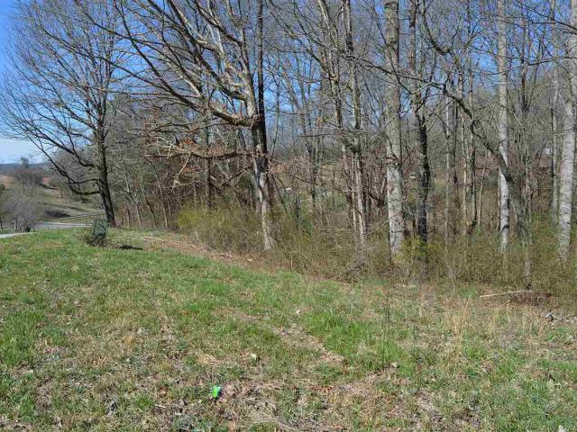 Land for sale in Tennessee