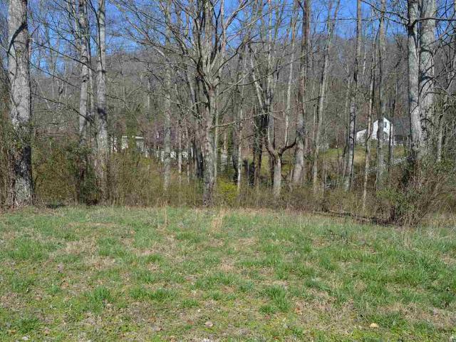 Land for sale in Tennessee