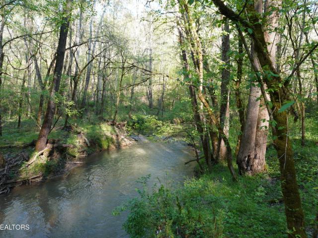Land for sale in Tennessee