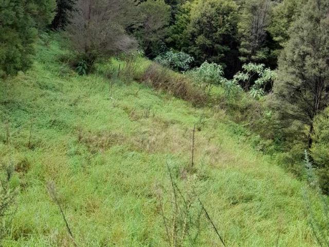 Property for sale in Fairburn, Northland