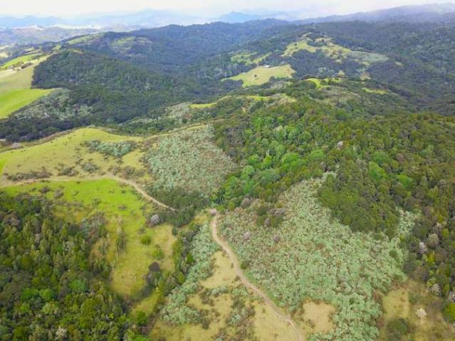 Property for sale in Fairburn, Northland