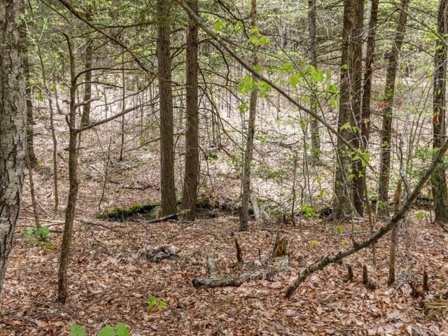 Land for sale in Warwick, Massachusetts