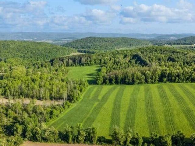 Land for sale in Pine Plains, New York