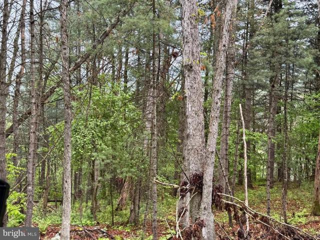 Land for sale in Hardy, West Virginia