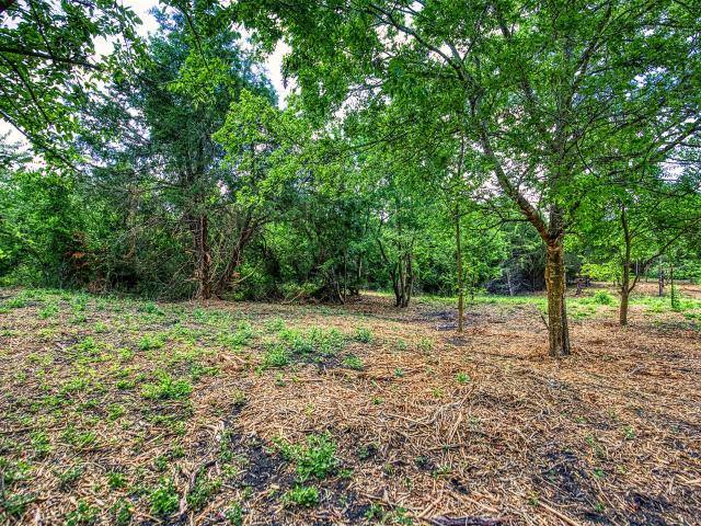 Land for sale in Chappell Hill, Texas
