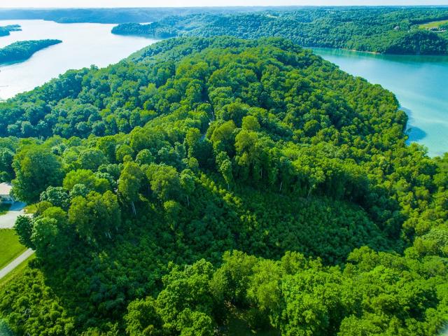 Land for sale in Tennessee