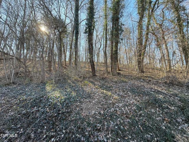 Land for sale in Tennessee
