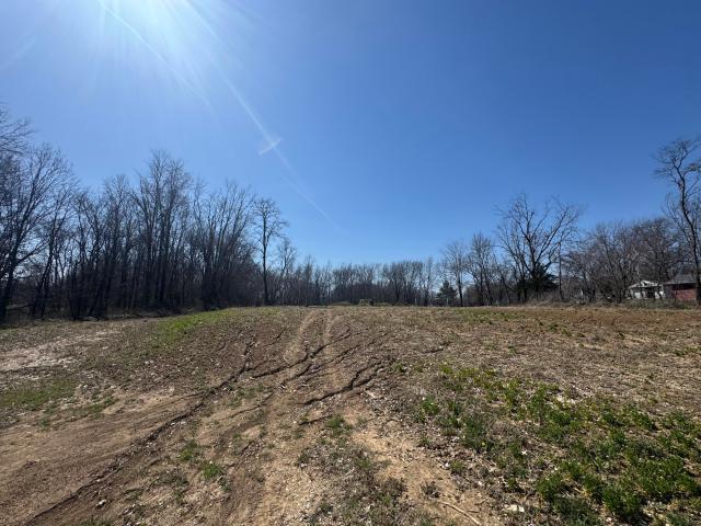 Land for sale in Sturgeon, Missouri