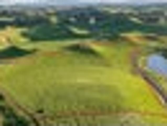 Land for sale in Patoka
