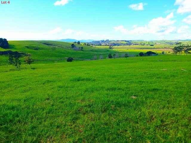 Land for sale in Fairburn, Northland