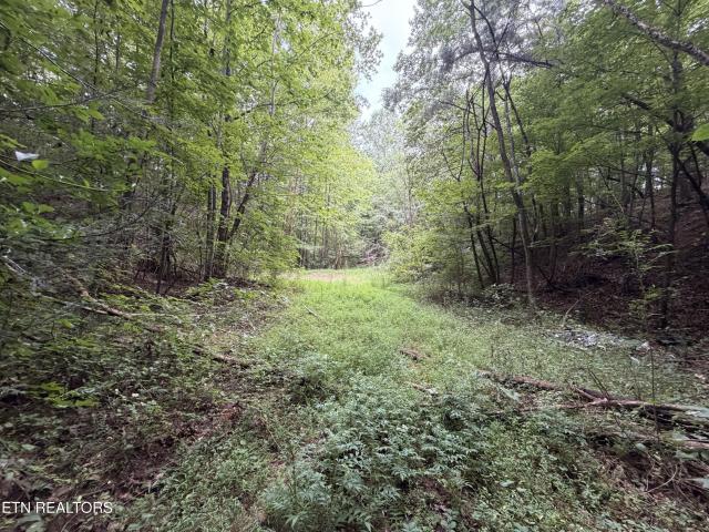 Land for sale in Tennessee
