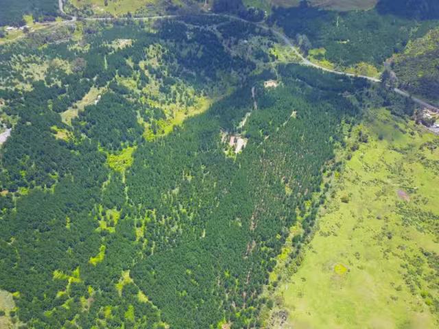 House for sale in Northland