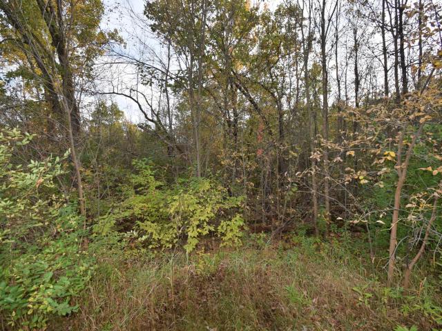 Land for sale in Danbury, Town of Swiss