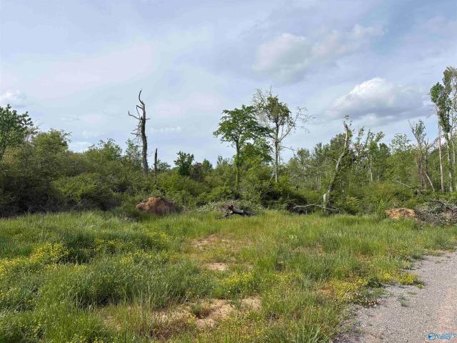 Land for sale in Henagar, Alabama