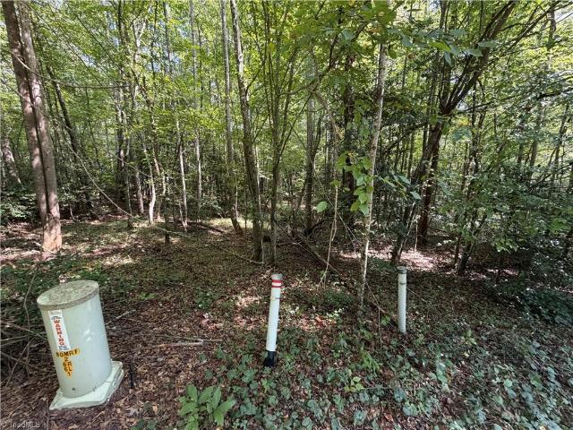 Land for sale in Wilkes County, North Carolina