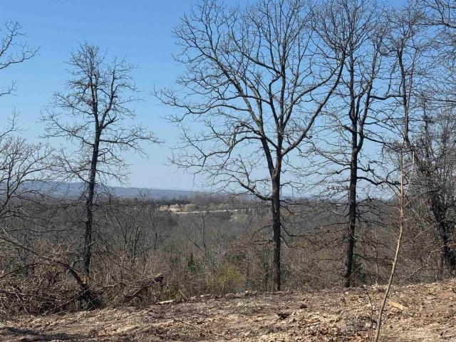 Land for sale in Ark