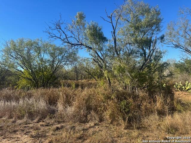 Land for sale in Christine, Texas