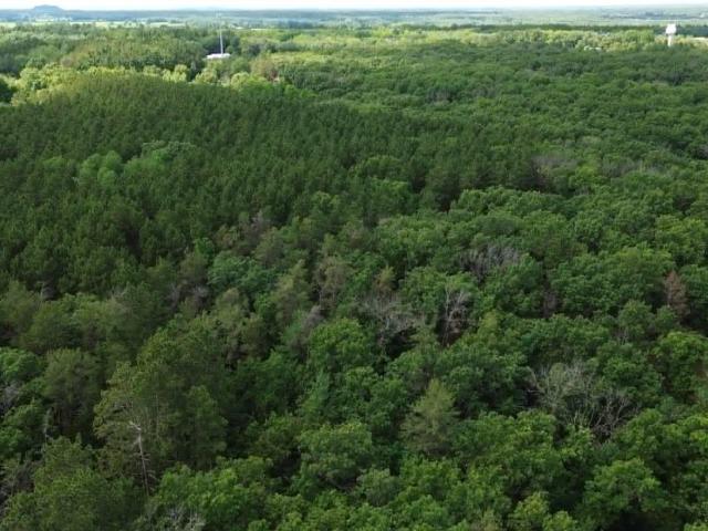 Land for sale in Juneau, Wisconsin