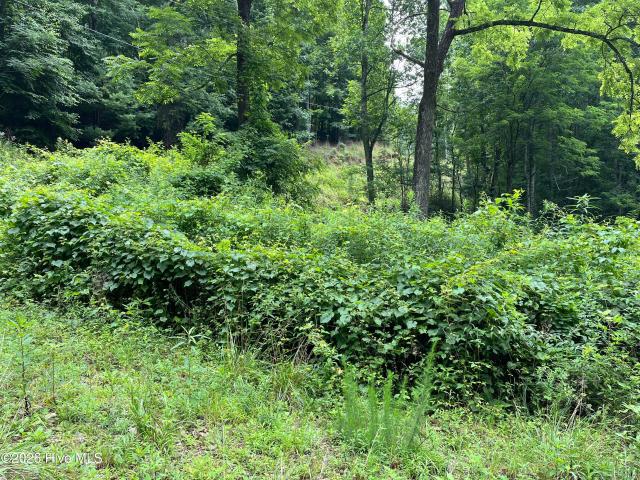 Land for sale in Murphy, North Carolina